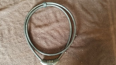 giant surelock protector